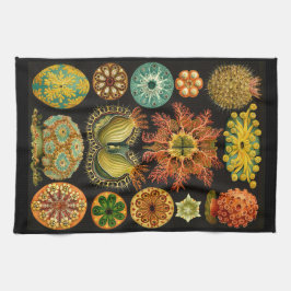 Ernst Haeckel Ascidiae Sea Life Illustration Geschirrtuch