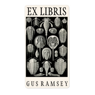 Ernst Haeckel Aspidonia Buchzeichen