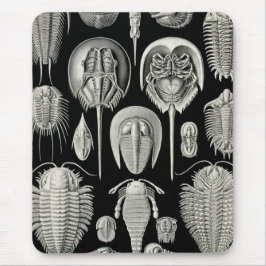 Ernst Haeckel Aspidonia Mousepad