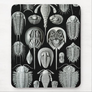 Ernst Haeckel - Aspidonia Mousepad