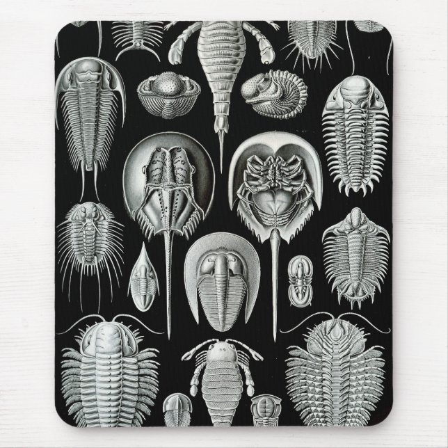 Ernst Haeckel - Aspidonia Mousepad (Vorne)