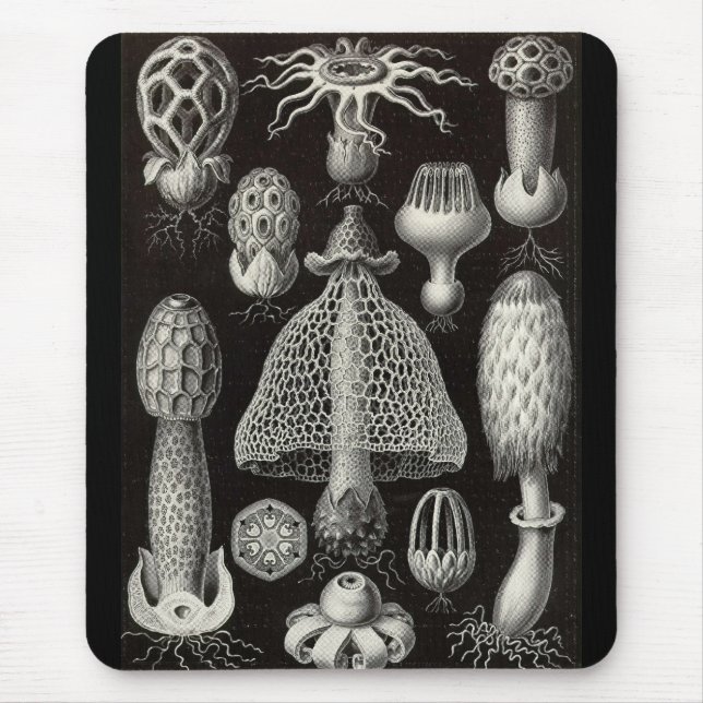 Ernst Haeckel - Basimycetes Pilze Mousepad (Vorne)