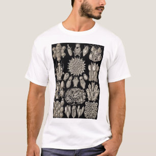 Ernst Haeckel - Bryozoa2-Hemd T-Shirt