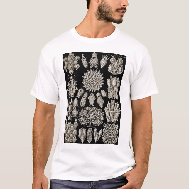 Ernst Haeckel - Bryozoa2-Hemd T-Shirt (Vorderseite)