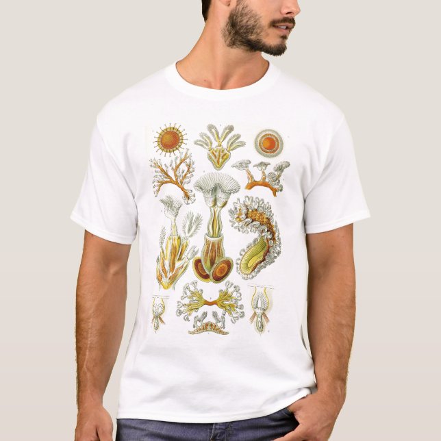 Ernst Haeckel - Bryozoa-Hemd T-Shirt (Vorderseite)