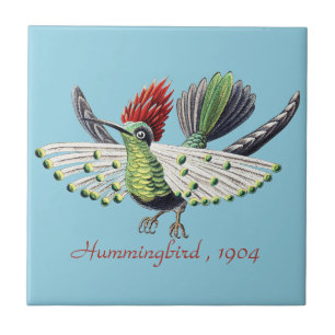 Ernst Haeckel Bunte Kolibris Natur Kunst Fliese