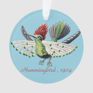 Ernst Haeckel Bunte Kolibris Natur Kunst Ornament