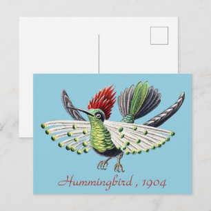 Ernst Haeckel Bunte Kolibris Natur Kunst Postkarte