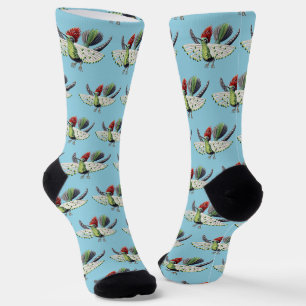 Ernst Haeckel Bunte Kolibris Natur Kunst Socken