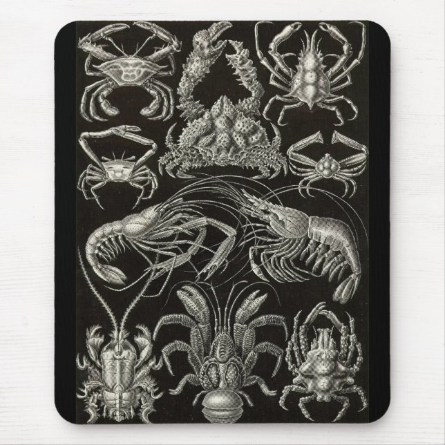 Ernst Haeckel - Decapoda Mousepad (Vorne)