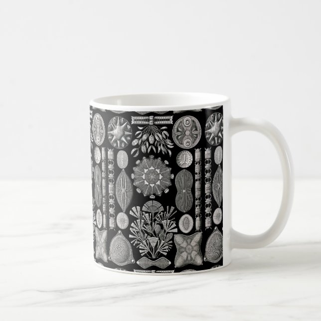 Ernst Haeckel Diatomea Tasse (Rechts)