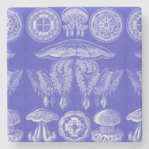 Ernst Haeckel Discomedusae III Steinuntersetzer