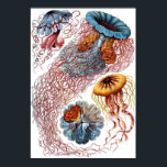 Ernst Haeckel Discomedusae Poster<br><div class="desc">Ernst Haeckel Discomedusae</div>