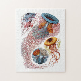 Ernst Haeckel Discomedusae Puzzle