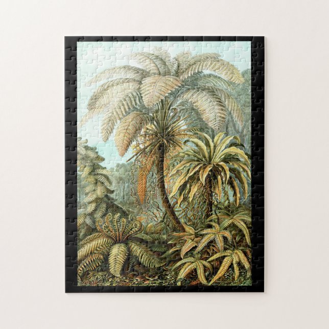 Ernst Haeckel Filicinae Puzzle (Vertikal)