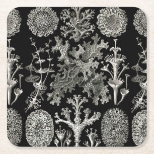 Ernst Haeckel Flechten Rechteckiger Pappuntersetzer