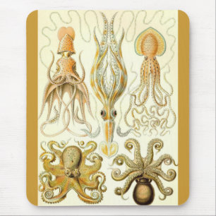 Ernst Haeckel - Gamochonia Mousepad