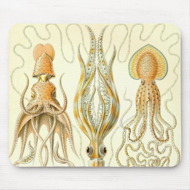 Ernst Haeckel - Gamochonia Sonderkommando Mousepad (Vorne)