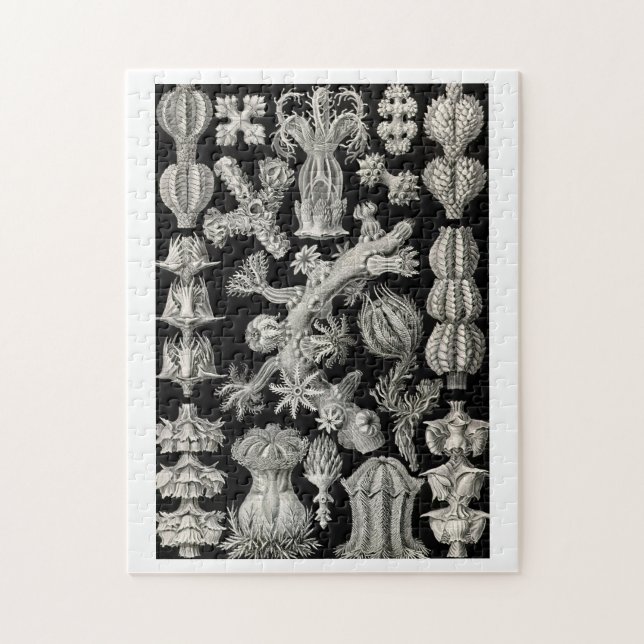 Ernst Haeckel Gorgonia Puzzle (Vertikal)