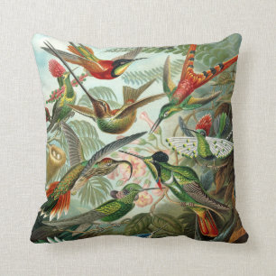 Ernst Haeckel ~ Hummingbirds Cushions Kissen