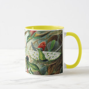 Ernst Haeckel Hummingbirds - Kunstformen der Natur Tasse