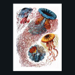 Ernst Haeckel Jellyfish Poster<br><div class="desc">Ernst Haeckel Jellyfish</div>