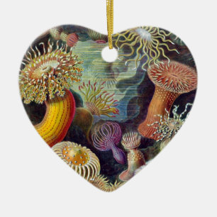 Ernst Haeckel Keramikornament