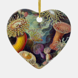 Ernst Haeckel Keramikornament