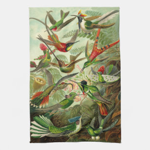 Ernst Haeckel-Kolibri-Illustration Handtuch