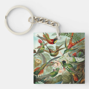Ernst Haeckel Kolibris - Kunstformen der Natur Schlüsselanhänger