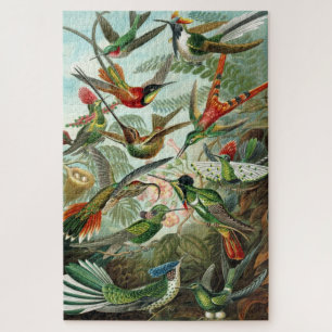 Ernst Haeckel Kolibris Vintage Vogelkarte Puzzle