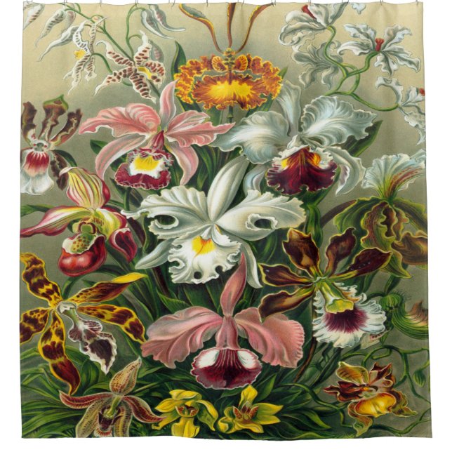 Ernst Haeckel-Kunst-Druck: Orchidae Oncidiums, Duschvorhang (Vorderseite)