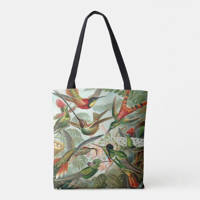 Ernst Haeckel-Kunst-Druck: Trochilidae (Rückseite)