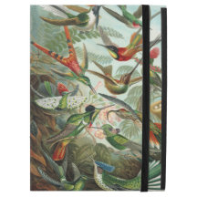 Ernst Haeckel Lebendigkeit Kolibris Monogramm