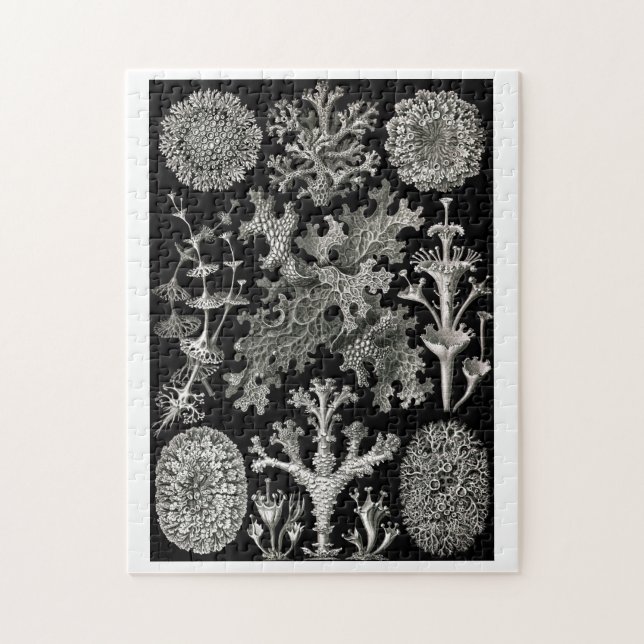Ernst Haeckel Lichens Puzzle (Vertikal)