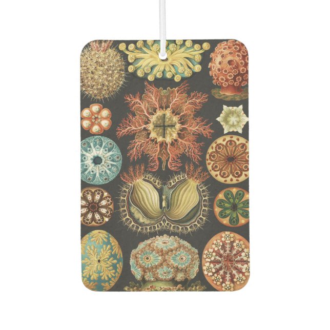 Ernst Haeckel Maritime Meeresleben Kunst Collage Autolufterfrischer (Vorderseite)