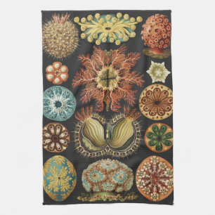 Ernst Haeckel Maritime Meeresleben Kunst Collage Geschirrtuch