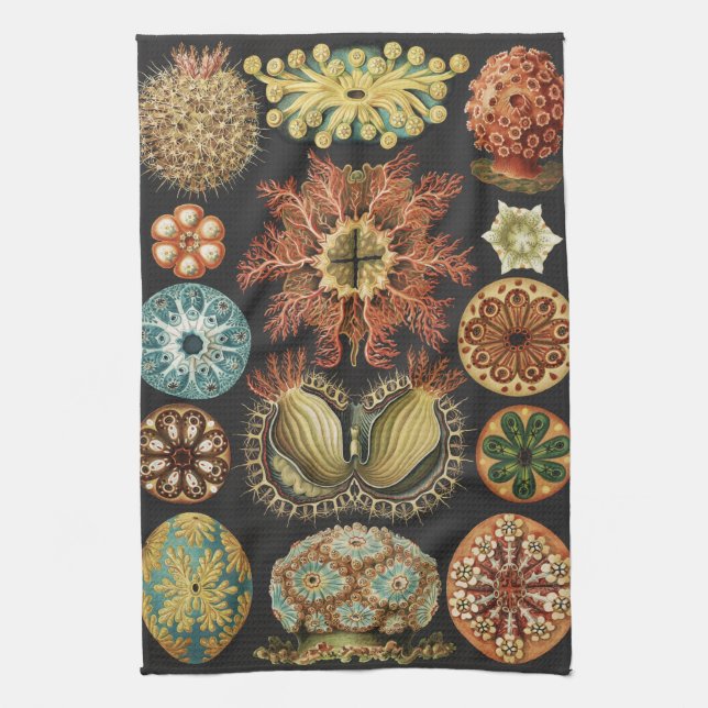 Ernst Haeckel Maritime Meeresleben Kunst Collage Geschirrtuch (Vertikal)