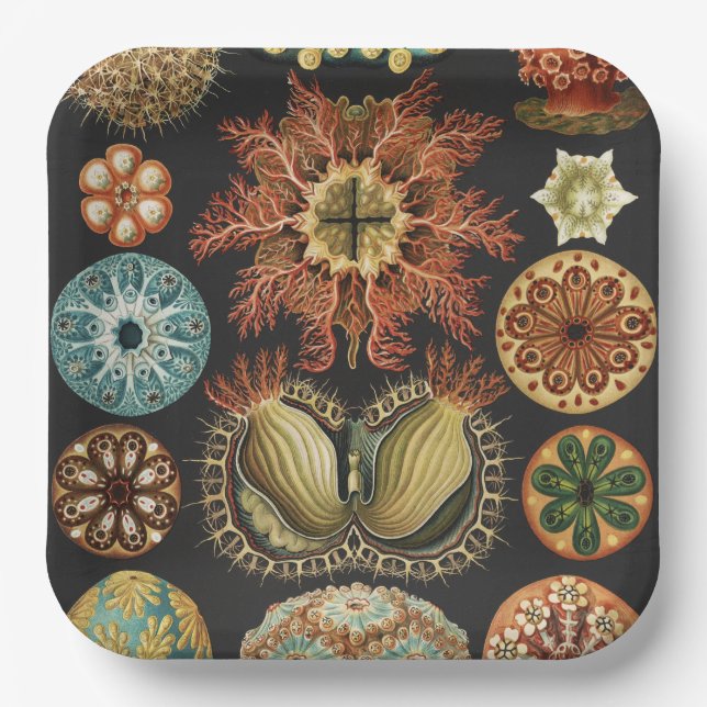 Ernst Haeckel Maritime Meeresleben Kunst Collage Pappteller (Vorderseite)