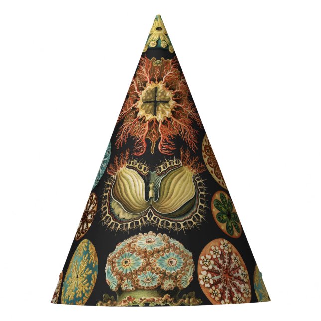 Ernst Haeckel Maritime Meeresleben Kunst Collage Partyhütchen (Vorderseite)
