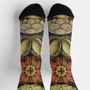 Ernst Haeckel Maritime Meeresleben Kunst Collage Socken