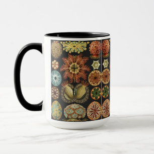 Ernst Haeckel Maritime Meeresleben Kunst Collage Tasse