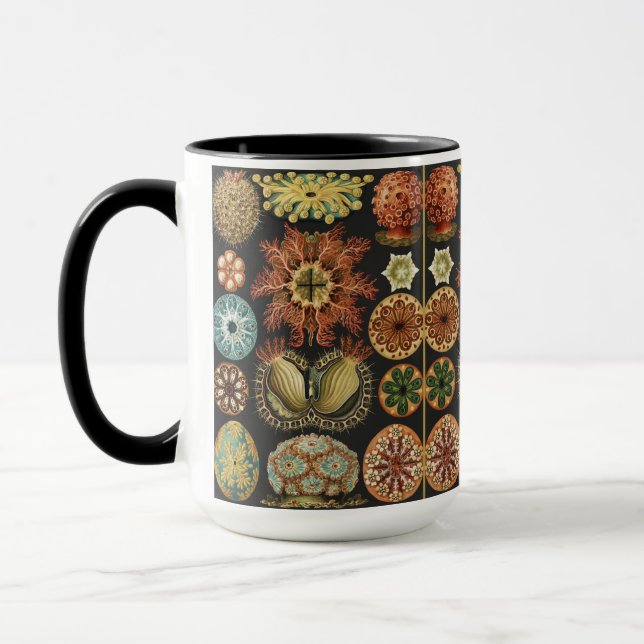 Ernst Haeckel Maritime Meeresleben Kunst Collage Tasse (Links)