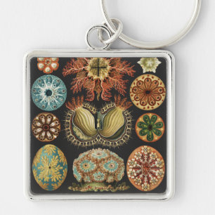 Ernst Haeckel Maritime Meeresleben Kunstcollage Schlüsselanhänger