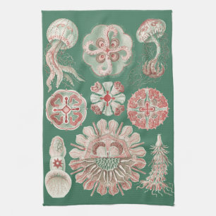 Ernst Haeckel Meer Leben Rosa Qualle Grün Poster Geschirrtuch