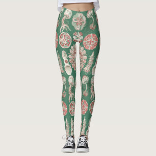 Ernst Haeckel Meer Leben Rosa Qualle Grün Poster Leggings