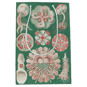Ernst Haeckel Meer Leben Rosa Qualle Grün Poster Mittlere Geschenktüte