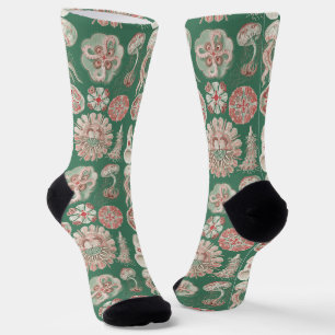 Ernst Haeckel Meer Leben Rosa Qualle Grün Poster Socken