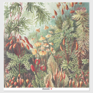 Ernst Haeckel Moos Naturdruck Dark Academia Aufkleber