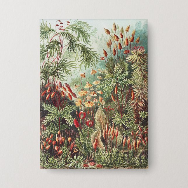 Ernst Haeckel Moos Naturdruck Dark Academia Button (Vorderseite)